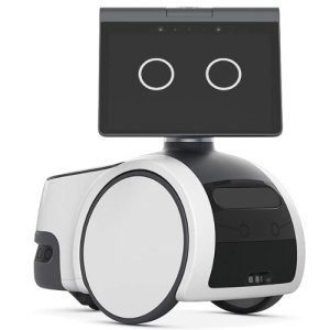 Household Robot for Home Monitoring