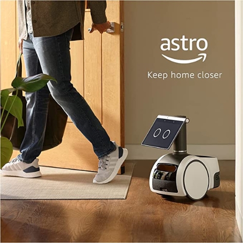 Household Robot for Home Monitoring