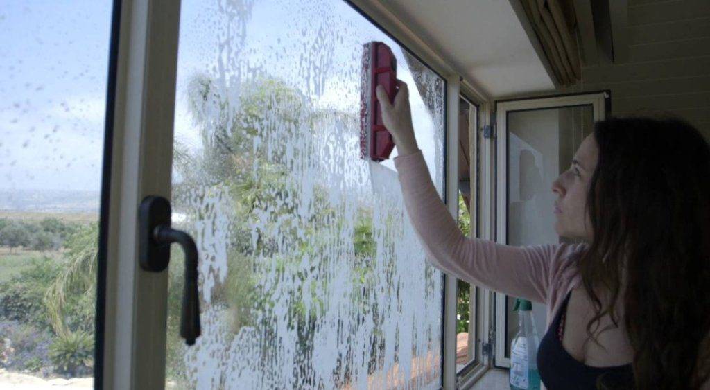 Window And Gutter Cleaning Service